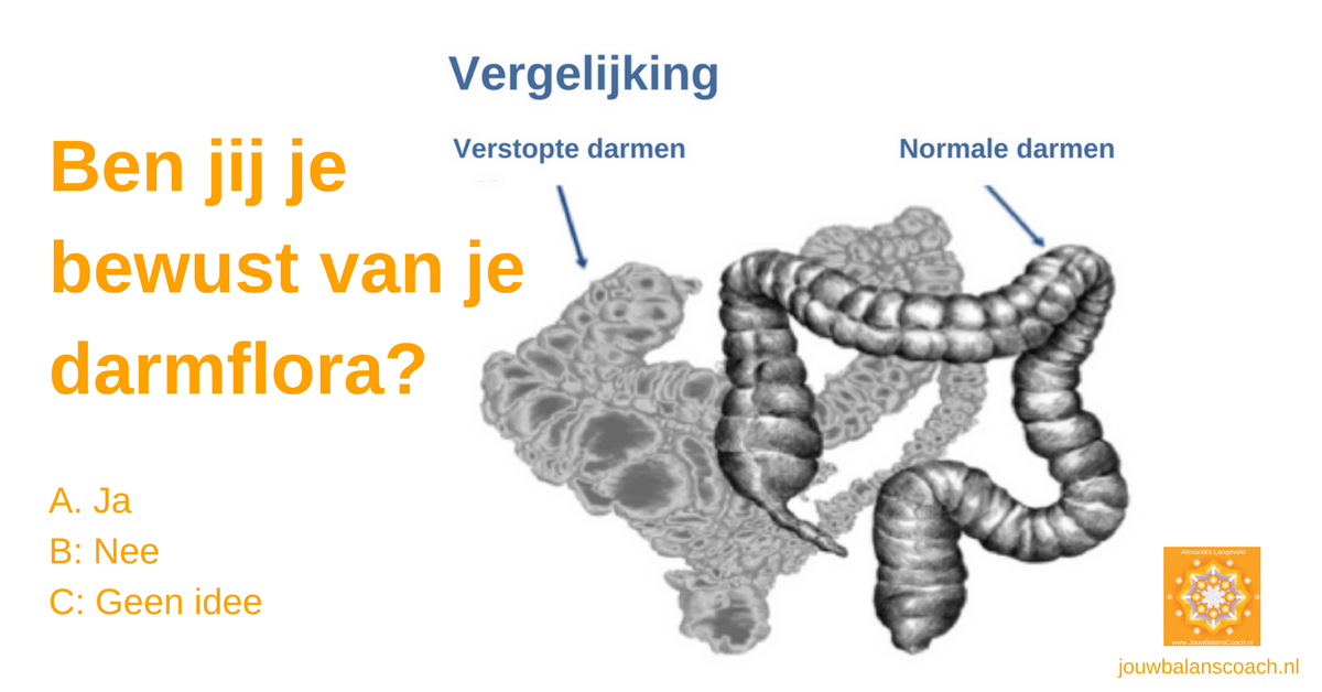 Ben jij je bewust van je darmflora?